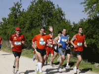 movimiento.gif